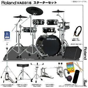 Roland ���[�����h VAD316 Pearl �c�C���y�_�� �A���v�t���Z�b�g �d�q�h���� �G���h�� V-Drums Acoustic Design �yVAD316�z�y�݌ɗL�� �������Z�b�g�t �z �h���� �Â� ���K �o���h �y�� DTM ���t�y V31