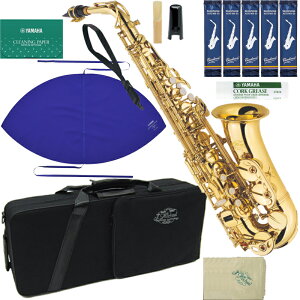 J Michael J}CP 3Nۏ AL-500 AgTbNX bJ[ S[h ZbgE@ȉ͑Ήs kC    