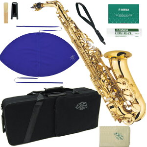 J Michael J}CP 3Nۏ AL-500 AgTbNX bJ[ S[h ZbgP@ȉ͑Ήs kC    