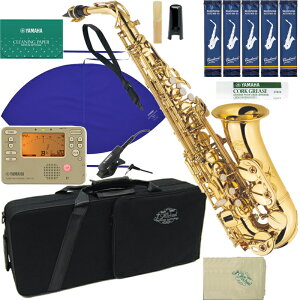 J Michael J}CP 3Nۏ AL-500 AgTbNX ViAEgbg bJ[ S[h ZbgW@ȉ͑Ήs kC    