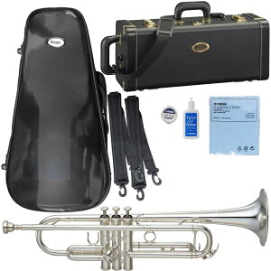 YAMAHA ���}�n 5�N�ۏ؃T�|�[�g�Ώ� YTR-850S �g�����y�b�g B�� �⃁�b�L �V���o�[ �C�G���[�u���X �J�X�^�� �Ǌy�� �Z�b�gD�@�ȉ��Ή��s�� �k�C�� ���� ���� �����