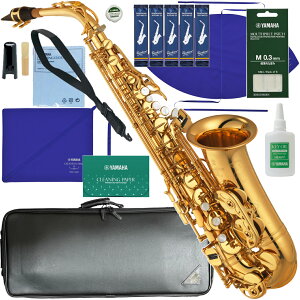 YAMAHA }n 5Nۏ؃T|[gΏ YAS-875EX AgTbNX JX^ bJ[ S[h Custam EX ZbgM@ȉΉs kC   