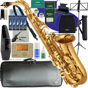 YAMAHA }n 5Nۏ؃T|[gΏ YAS-875EX AgTbNX JX^ bJ[ S[h Custam EX Z}[ S90 ZbgB@ȉΉs kC   