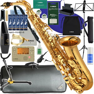 YAMAHA }n 5Nۏ؃T|[gΏ YAS-875EX AgTbNX JX^ bJ[ S[h Custam EX Z}[ S90 ZbgH@ȉΉs kC   