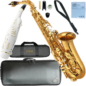 YAMAHA }n 5Nۏ؃T|[gΏ YAS-875EX AgTbNX JX^ bJ[ S[h Custam EX Elesa ZbgO@ȉΉs kC   