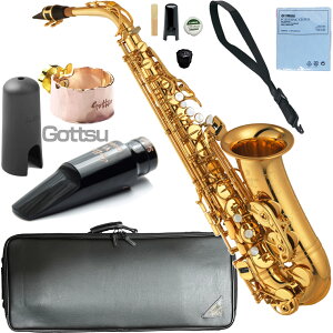 YAMAHA }n 5Nۏ؃T|[gΏ YAS-875EX AgTbNX JX^ bJ[ S[h Custam EX Gottsu ZbgE@ȉΉs kC   