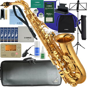 YAMAHA }n 5Nۏ؃T|[gΏ YAS-875EX AgTbNX JX^ bJ[ S[h Custam EX ZbgF@ȉΉs kC   