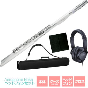 Roland ���[�����h Aerophone Brisa �w�b�h�z���Z�b�g �E�B���h�V���Z�T�C�U�[ �t���[�g�X�^�C�� �G�A���t�H��