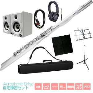 Roland ���[�����h Aerophone Brisa ������K�Z�b�g �E�B���h�V���Z�T�C�U�[ �t���[�g�X�^�C�� �G�A���t�H��