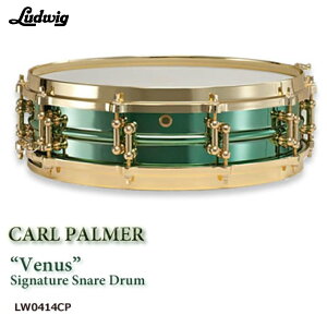LUDWIG ���f�B�b�N LW0414CP �J�[���E�p�[�}�[�@�V�O�l�`���[���f���yLM400�z �u���X�V�F�� �h���� �X�l�A