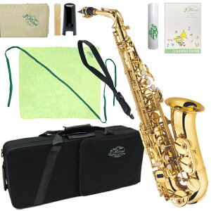 J Michael J}CP 3Nۏ AL-500 AgTbNX bJ[ S[h ZbgO@ȉ͑Ήs kC    