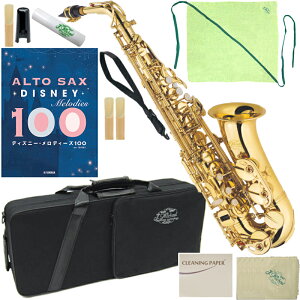 J Michael J}CP 3Nۏ AL-500 AgTbNX ViAEgbg bJ[ S[h ZbgL@ȉ͑Ήs kC    