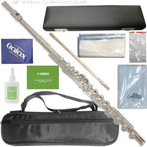 AZUMI ������ AZ-Z1RBE H�� �t���[�g �I�t�Z�b�g �����O�L�C ���b�v�v���[�g�␻ E���J �A���^�X�X�P�[�� �Z�b�gB�@�ȉ��Ή��s�� �k�C�� ���� ���� �����