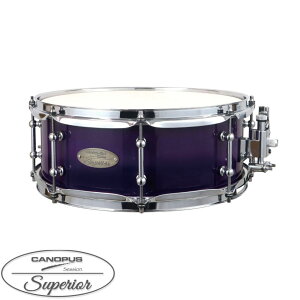 Canopus �J�m�E�v�X SM-1455 SP-PF Purple Fade LQ Session Superior Snare Drum�ySM-1455 SP-PF�z �X�l�A �h����
