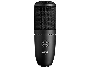 AKG �G�[�P�[�W�[ P120 �� �R���f���T�[�}�C�N