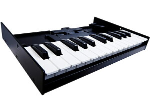 Roland [h K-25M  Boutique yzyDTMzyDAWz