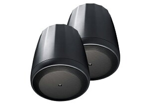 JBL �W�F�C�r�[�G�� Control 65P/T (�u���b�N) �i1�y�A/ 2�{�j �� �y���_���g�^ �p�b�V�u�X�s�[�J�[ �y4��3�����_�A�݌ɂ��� �z �m�R���g���[�� 60 �V���[�Y �n