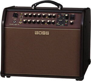 Roland ( [h ) Acoustic Singer ProyACS-PROz y ARM GAR M^[Av z