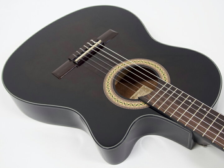 楽天市場】Ibanez ( アイバニーズ ) GA30TCE DVS エレガット 