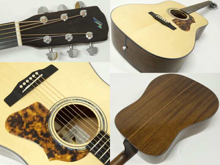 楽天市場】Morris モーリス M-80 II NAT 国産 アコースティックギター 
