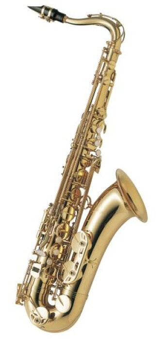 楽天市場】Antigua アンティグア TS3108 テナーサックス スタンダード 