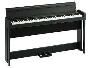 KORG RO dqsAm fW^sAm C1 Air-BK ubN
