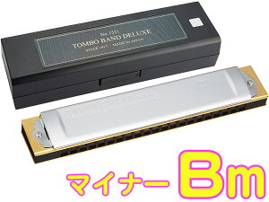 TOMBO �g���{ 1521 Bm ���� �g���{�o���h �����n�[���j�J 21�� No.1521 ���{�� �g������ �ؐ��{�f�B Tremoro Harmonica ���[�h�y�� �}�C�i�[�@�k�C�� ���� �����s��