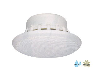 MASSIVE }bVu CL-135WR  V䖄^Xs[J[EV[O^y1128_A݌ɂ z