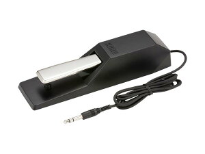 KORG RO DS-1H TXeBy_ n[t_p[Ή