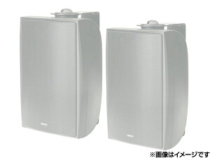 TANNOY ^mC DVS4 W/zCg (yA)  tWXs[J[ESV^ m DVS series n