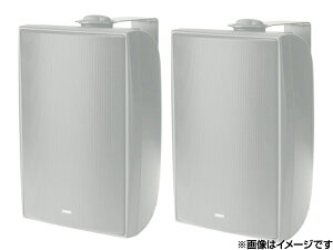 TANNOY ^mC DVS6t W/zCg (yA)  tWXs[J[ESV^ m DVS series n