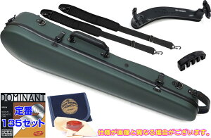 Carbon Mac J[{}bN CFV-2S S-GRN Te _[NO[ oCI P[X bN 4/4TCY green Zbg A@kC    s