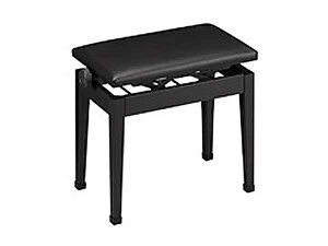 CASIO JVI CB-30BKyubNz