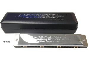 SUZUKI ( XYL ) SU-21W FNm F i`}Ci[ n[jJ 21 n~O { _u[h g n[jJ y Harmonica ykCs s sz