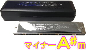SUZUKI ( XYL ) SU-21W Am n[jJ Z 21 n~O { g n[jJ y Tremolo Harmonica A }Ci[ ykCs s sz