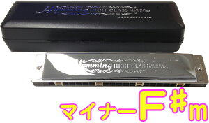SUZUKI ( XYL ) SU-21W Fm n[jJ Z 21 n~O { g n[jJ y Tremolo Harmonica F }Ci[ ykCs s sz