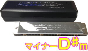 SUZUKI ( XYL ) SU-21W Dm n[jJ Z 21 n~O { g n[jJ y Tremolo Harmonica D }Ci[ ykCs s sz