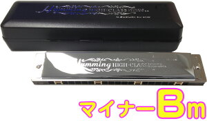 SUZUKI ( XYL ) SU-21W Bm n[jJ Z 21 n~O { g n[jJ y Tremolo Harmonica B }Ci[ ykCs s sz