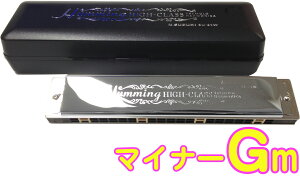 SUZUKI ( XYL ) SU-21W Gm n[jJ Z 21 n~O { g n[jJ y Tremolo Harmonica G }Ci[ ykCs s sz