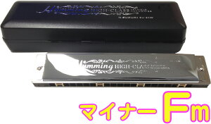 SUZUKI �X�Y�L SU-21W Fm �����n�[���j�J �Z�� 21�� �����n�~���O ���{�� �g������ �y�� Tremolo Harmonica F�}�C�i�[�@�ȉ��Ή��s�� �k�C�� ���� ���� �����