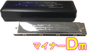 SUZUKI ( XYL ) SU-21W Dm n[jJ Z 21 n~O { g n[jJ y Tremolo Harmonica D }Ci[ ykCs s sz