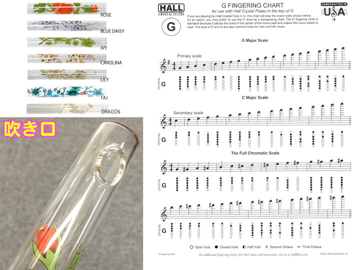 21新作 ホールクリスタル クリスタルフルート G管 Ivy アイヴィ Hall Crystal Flute G Offset 返品種別b Riosmauricio Com