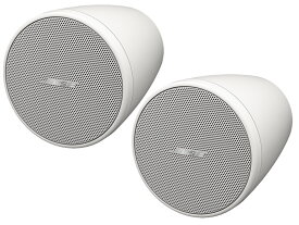 BOSE ボーズ FS2PW ( ペア / 2本入 ) 吊り下げ ペンダントマウントスピーカー 白 ホワイト FS series FS2【7月11日時点、在庫あり 】