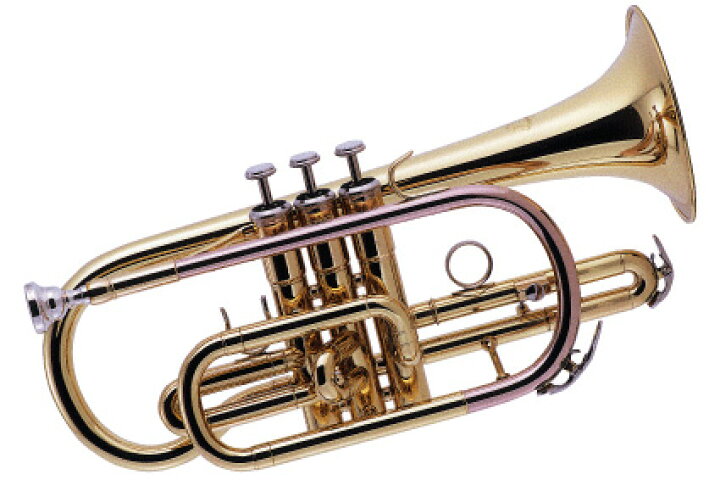 楽天市場】J Michael ( Jマイケル ) CT-420 コルネット 新品 