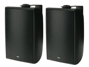 TANNOY ^mC DVS6t B/ubN (yA)  tWXs[J[ESV^ m DVS series n