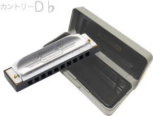 HOHNER ( z[i[ ) Jg[ D Special 20 560/20 Country 10 u[Xn[jJ 10Holes blues harmonica XyV20@kC  s