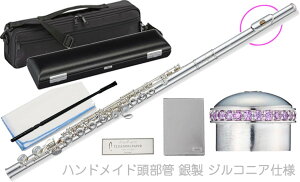 Pearl Flute �p�[���t���[�g F-DP/E �t���[�g �w�b�h�N���E�� �A���W�X�g �n���h���C�h������ �␻ �h���`�F�v���� Dolce Primo flute �Z�b�g I�@�k�C�� ���� �����s��