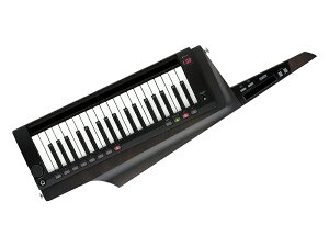 KORG RO RK-100S 2 BK mV_[L[{[hn