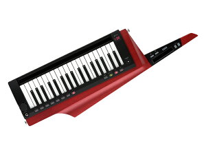 KORG RO RK-100S 2 RD mV_[L[{[hn
