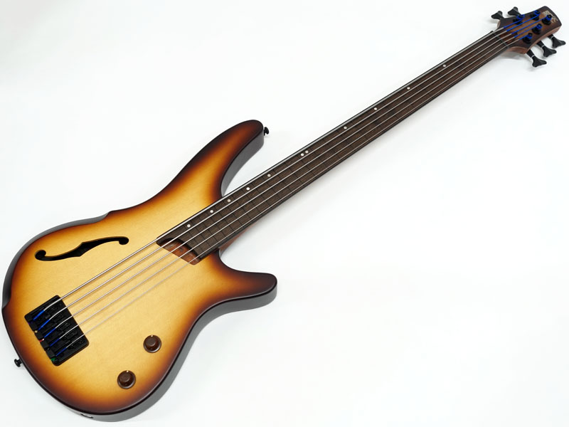 最低価格販売 Tune フレットレス　4弦　オーダー品 Bass Fretless チューン ベース